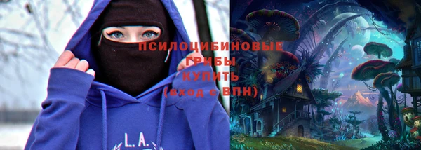 a pvp Алексин